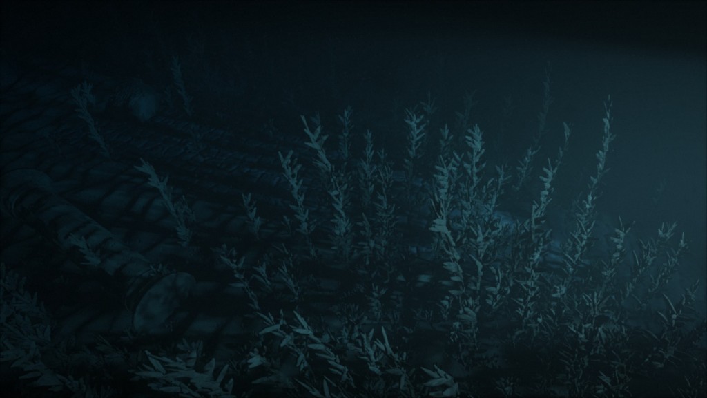 Underwater vegetation