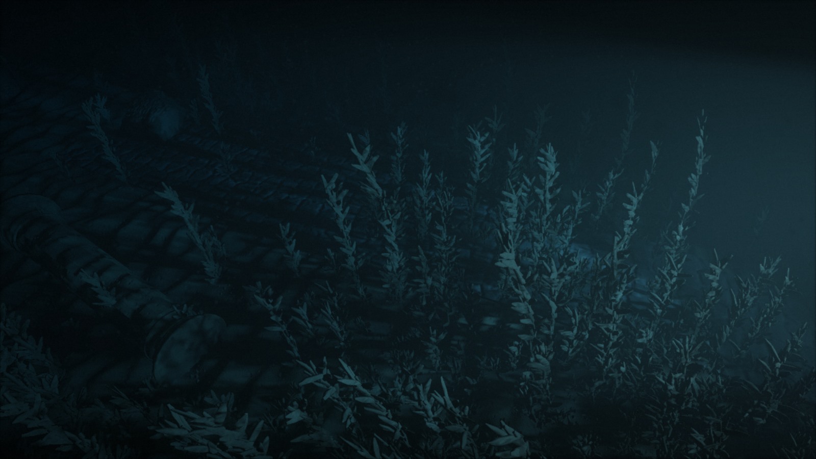 Underwater vegetation